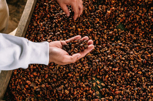 Cherry Cabanday Natural