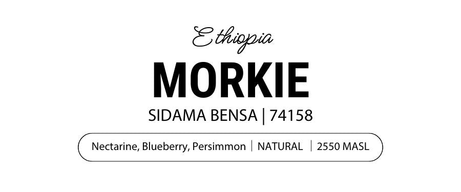 Morkie
