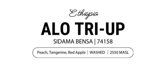 Alo Tri-Up Washed