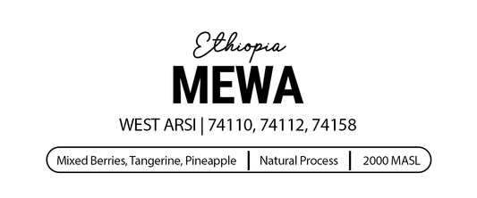 Mewa
