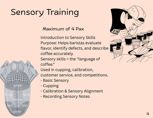 All About SENSORY