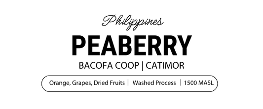 Peaberry