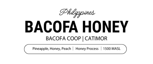 Bacofa Honey