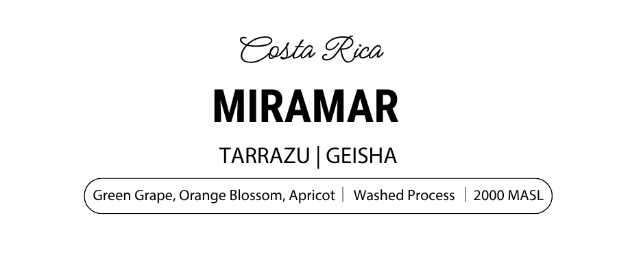 Miramar Geisha