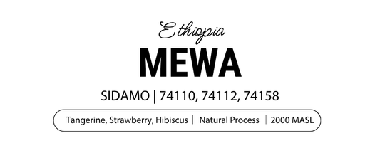 Mewa