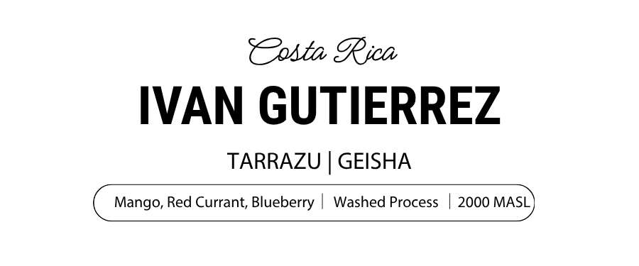 Ivan Gutierrez Geisha