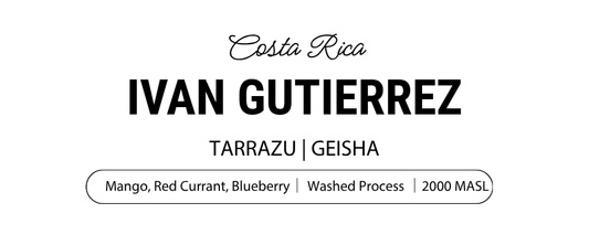 Ivan Gutierrez Geisha
