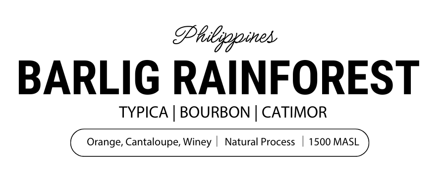 Barlig Rainforest