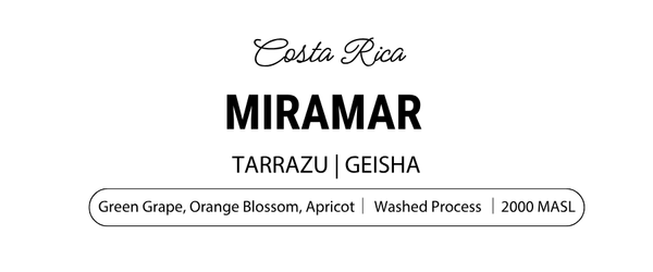 Miramar Geisha