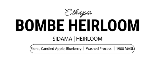Bombe Heirloom Washed Process